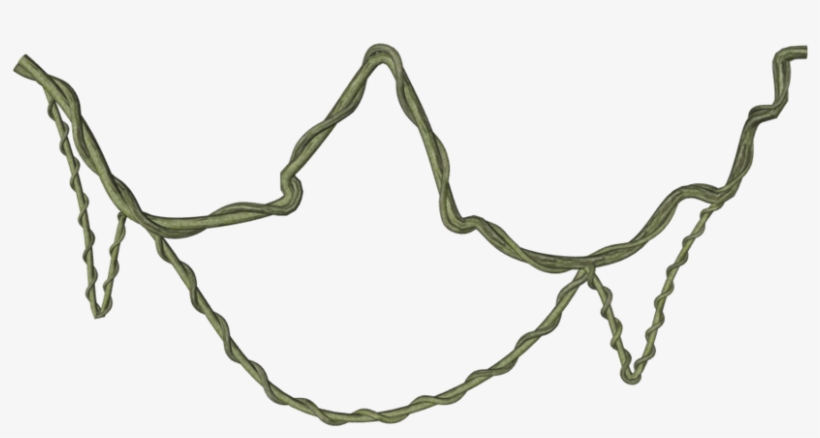 15 Jungle Vine Png For Free Download On Mbtskoudsalg - Jungle Vine Transparent, transparent png #143107