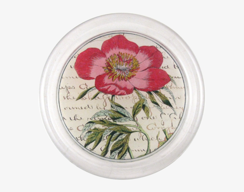 Tree Peony, transparent png #143291