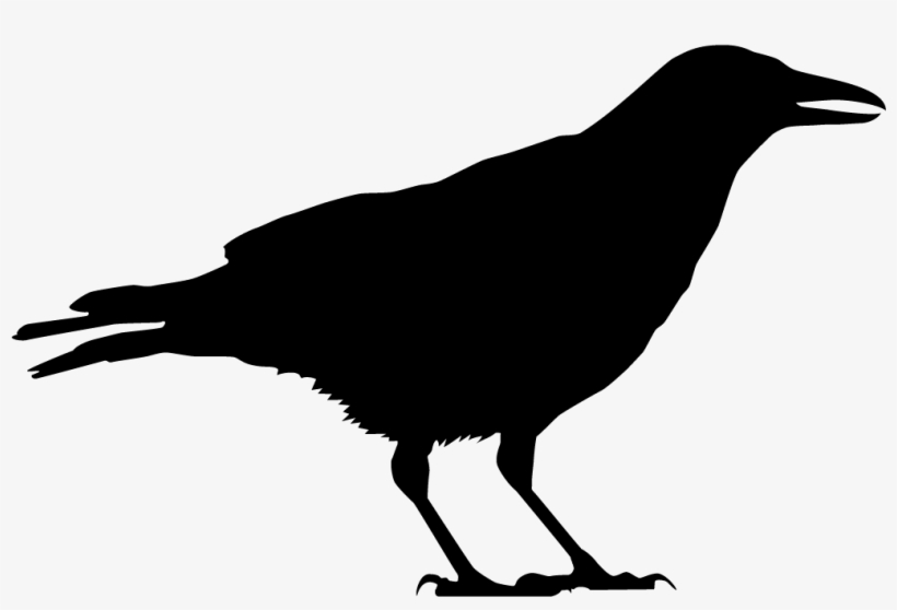 Clip Freeuse Library Browse By Shape All About Birds - Black Crow Silhouette, transparent png #143345