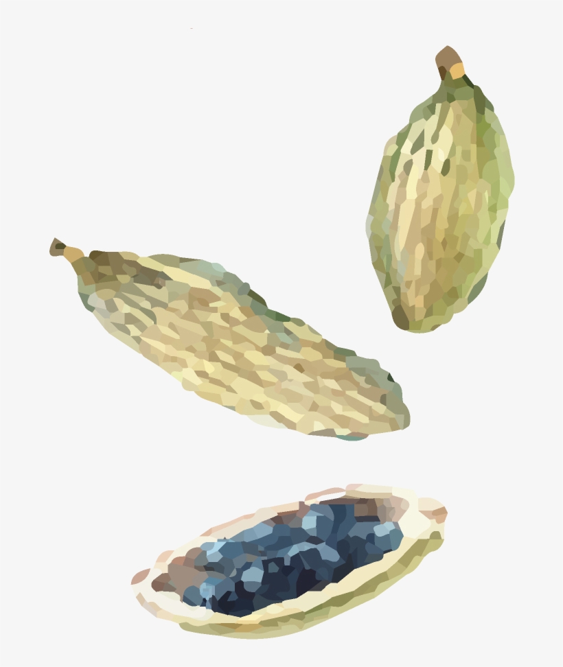 Watercolor Indian Cuisine Seeds - Indian Cuisine, transparent png #143368