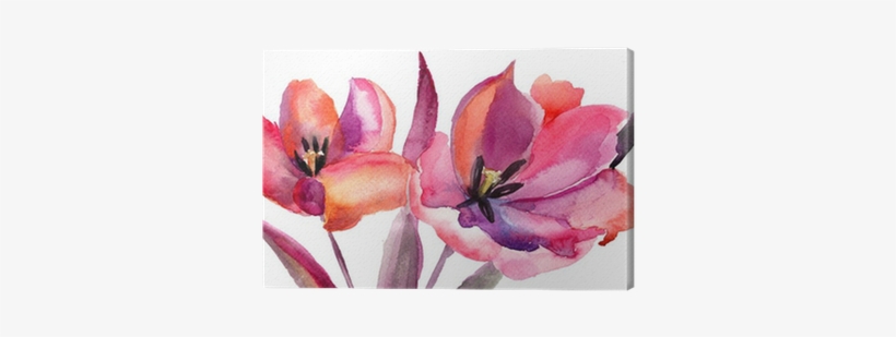Tulips Flowers, Watercolor Painting Canvas Print • - Watercolor Painting, transparent png #143475