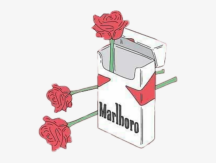 Aesthetic Png Tumblr Freetoedit - Marlboro Rose, transparent png #143710