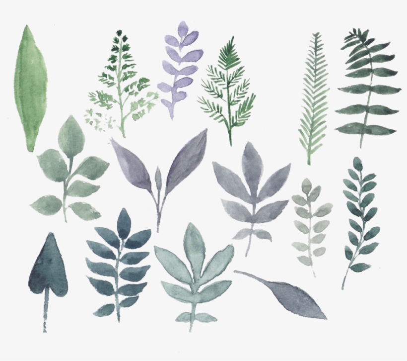 Flowers Watercolor Set Png - Watercolor Painting, transparent png #143739