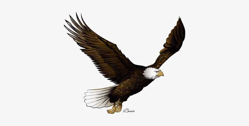 Flying Eagle Png Pic - Flying Eagle Clip Art, transparent png #144199