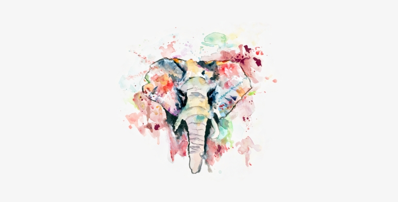 Picture - Illustration, transparent png #144531