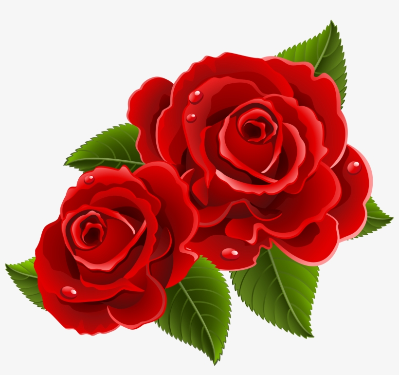 Beautiful Clipart Red Rose - Beautiful Red Rose Flowers, transparent png #144635