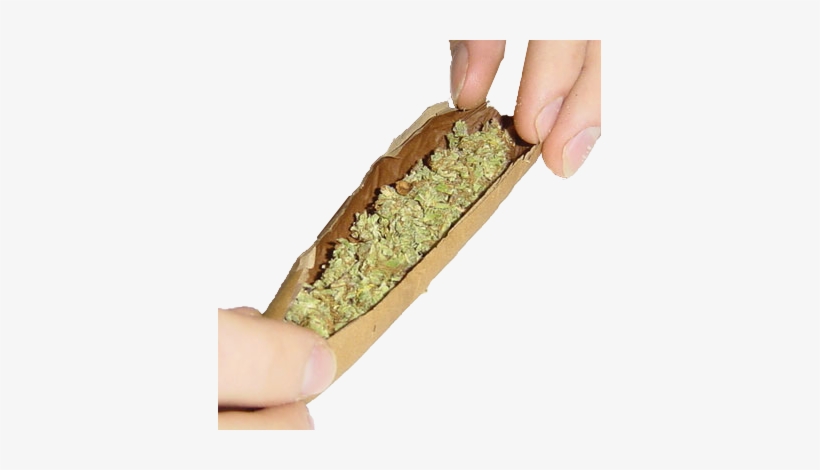 Rolling blunts. Rolling blunts. Rolling blunts. Rolling blunt. Rolling blunts.