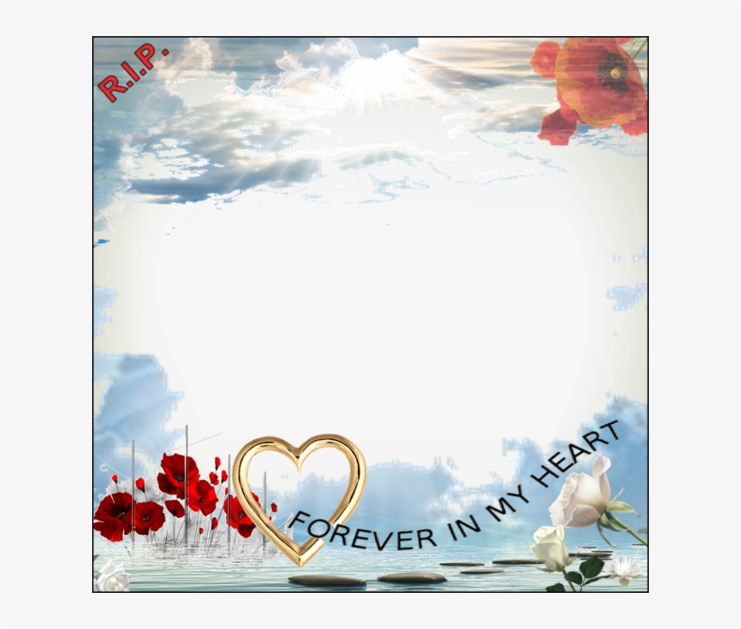 Security Check Required - Tableau - Coquelicots - Rouge Miracle - Bimago - Bimago, transparent png #145103
