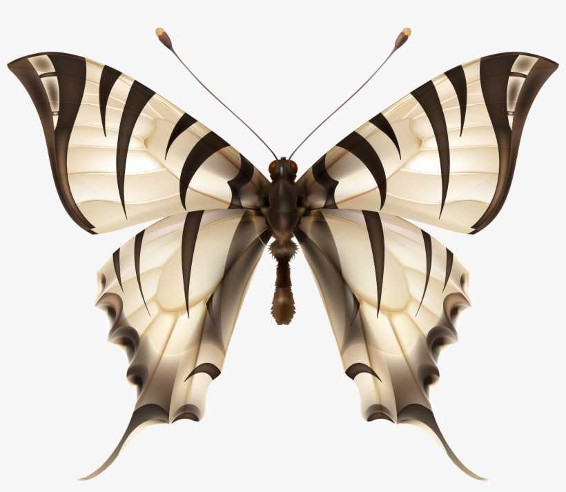 Butterflies Clipart Zebra - Vector Graphics, transparent png #145196