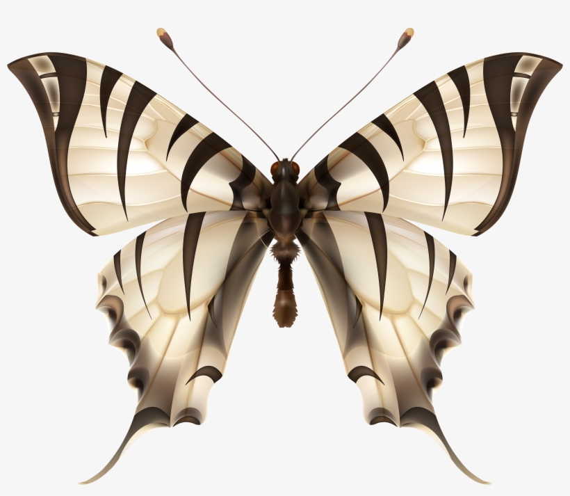 Butterflies Clipart Zebra - Vector Graphics, transparent png #145196