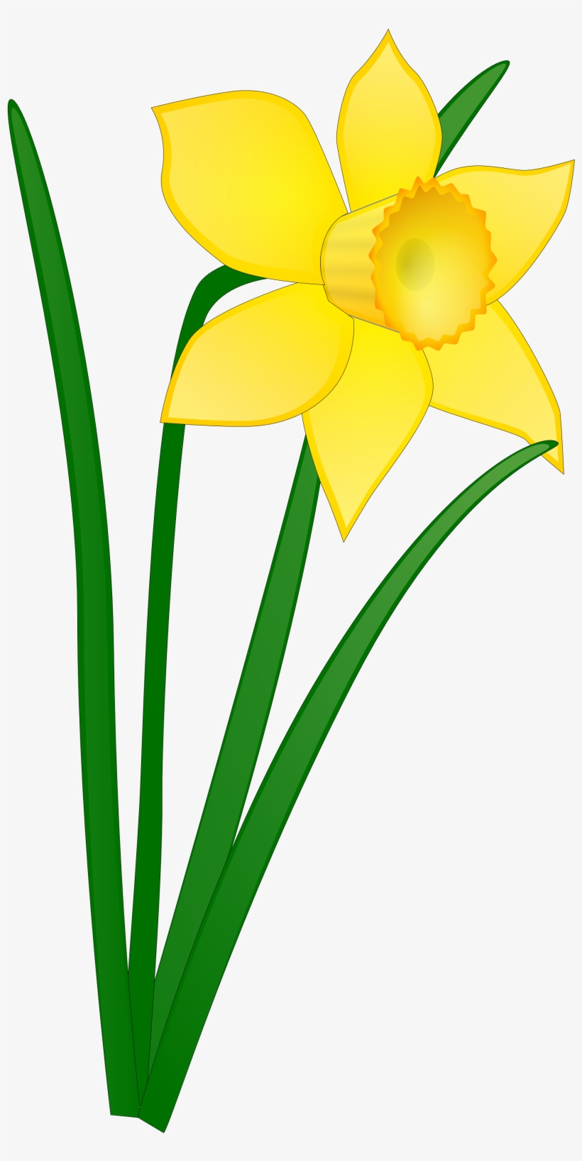 Svg Transparent Daffodil Flower Clip Art Panda Free - Daffodil Clipart, transparent png #145198