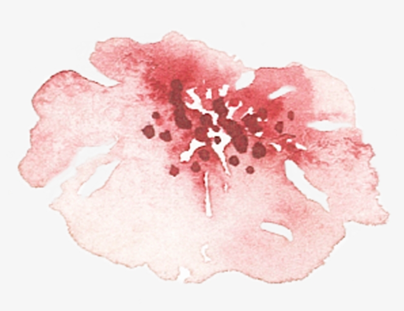 Of A Friends Wedding In The Summer Of - Hibiscus, transparent png #145633