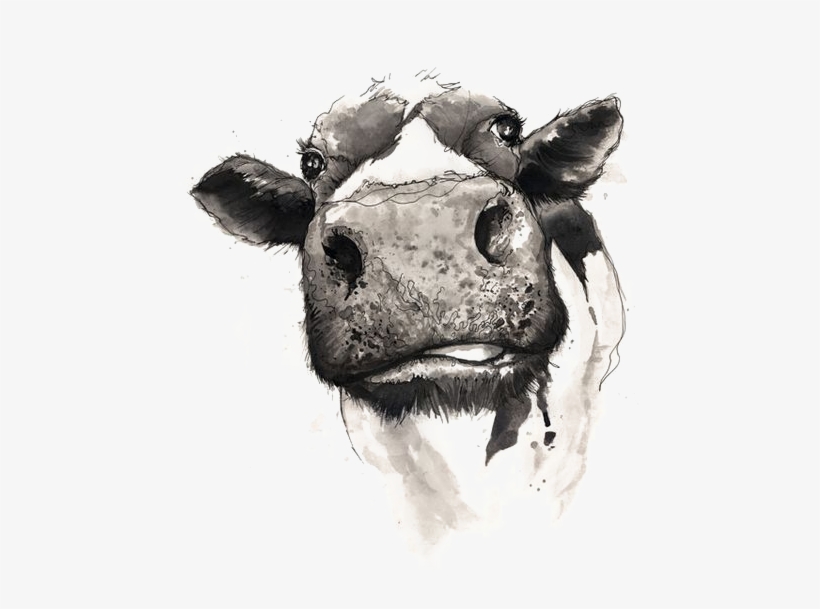 Cattle Drawing Watercolor Painting - Not Today Heifer Svg, transparent png #146244