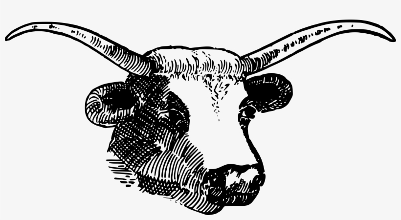 Bull Head Vector Png - Clipart Horns, transparent png #146541