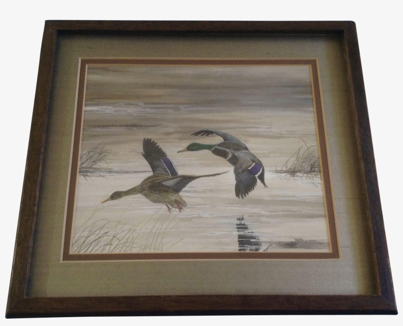 Robert E Krieg Saa , Mallard Ducks In Flight, Gouache - Watercolor Painting, transparent png #146601