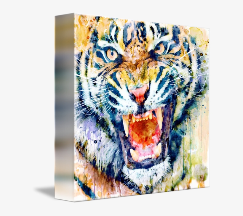 Tiger Face Watercolor Closeup By Marian Voicu - Watercolor Painting, transparent png #146728