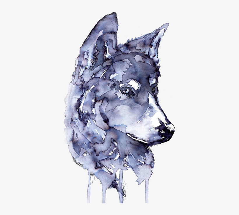 Transparentrwedfefgre - Wolf Watercolor, transparent png #146783
