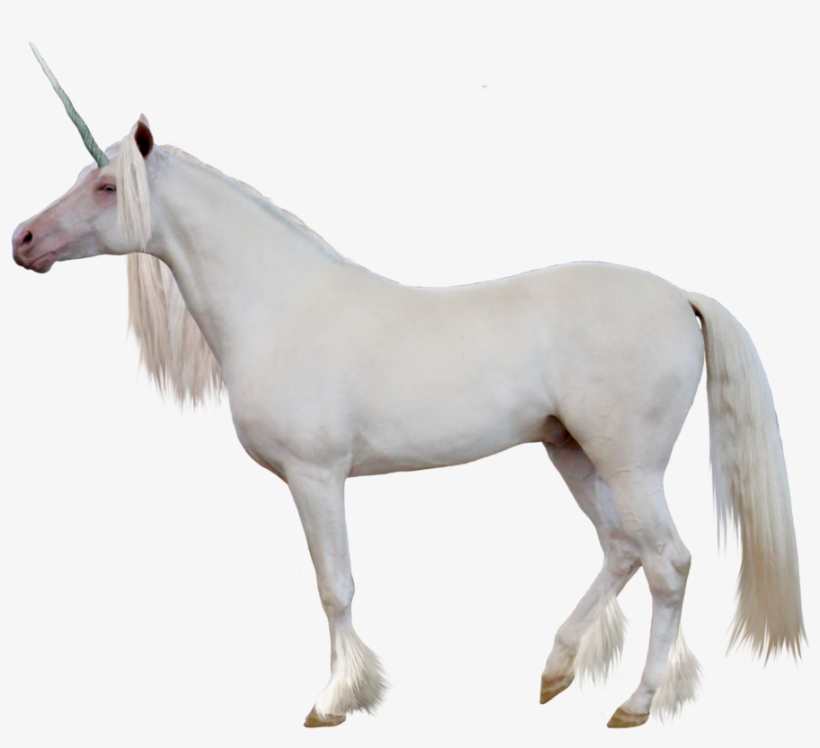 Unicorn Png Image - Caballo Unicornio Png, transparent png #146890