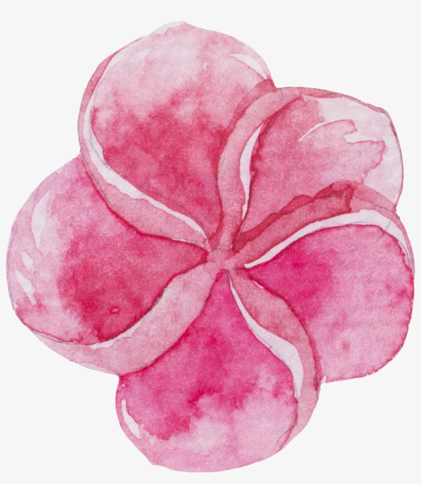 Watercolour Watercolor Sticker Ftestickers Flowers - Sweet Pea, transparent png #146916