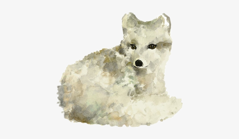 Fox Freetoedit Articfox White Watercolor - Arctic Fox Watercolor Art Print Painting, transparent png #147215