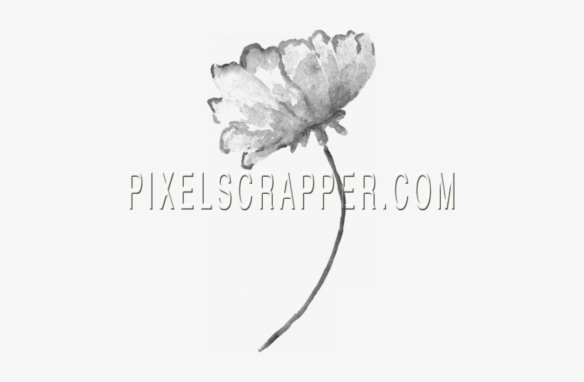 Watercolor Brush Kit 5 - Peony, transparent png #147328