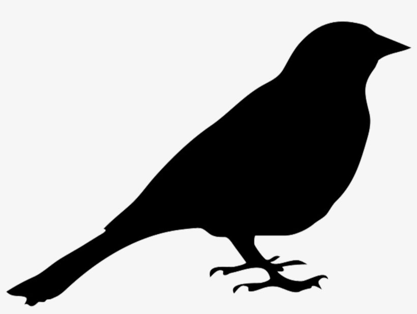 Bird Silhouette - Silhouette Of Pigeon, transparent png #147673