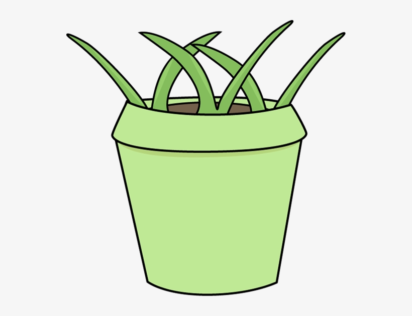 Flower Pot With Weeds Clip Art - Sequencing Pictures 3 Step, transparent png #148059