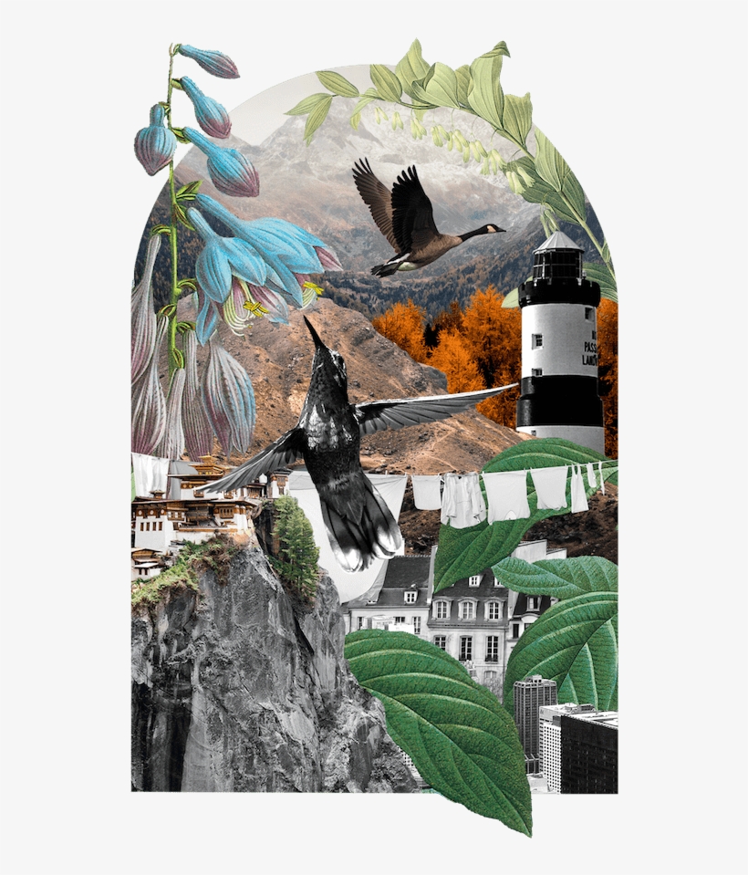 Benefit-collage - Website, transparent png #148129