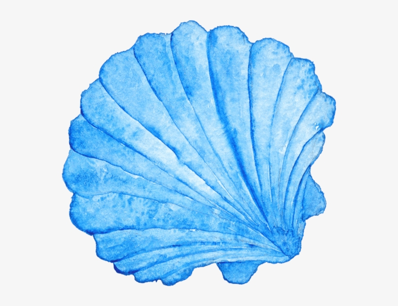 Seashell Watercolor Painting Photography Royalty - Seashell Watercolor, transparent png #148231