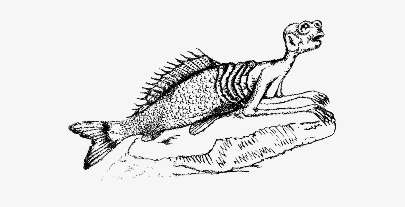 Atargatis Siren Rusalka Mermaid Mermaid Me - Sereia Vetor Png, transparent png #148275