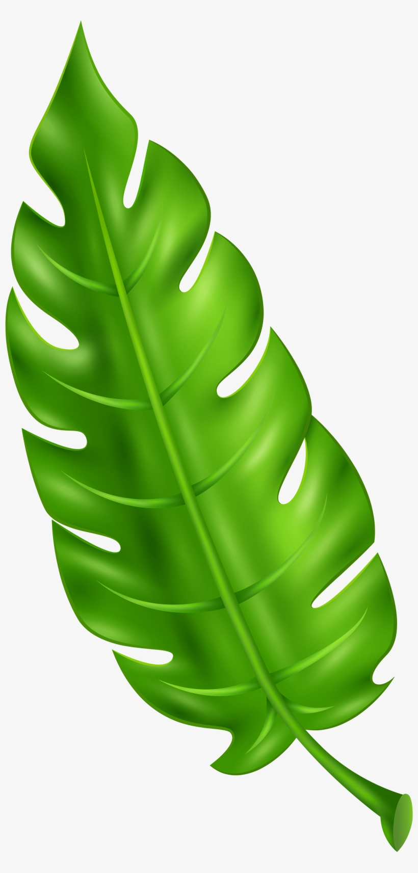 Exotic Green Leaf Clip Art Png Imageu200b Gallery Yopriceville - Leaf Clipart Png, transparent png #148671