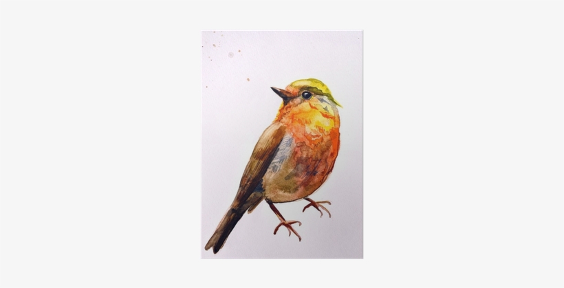 Water Colour Painting Bird Fly, transparent png #149062