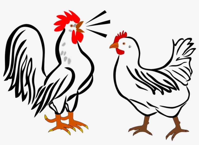 Rooster Clipart Hen - Rooster And Hen Shower Curtain, transparent png #149064