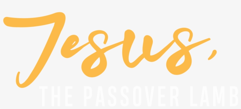 Dear Friend, - Jesus, transparent png #149161