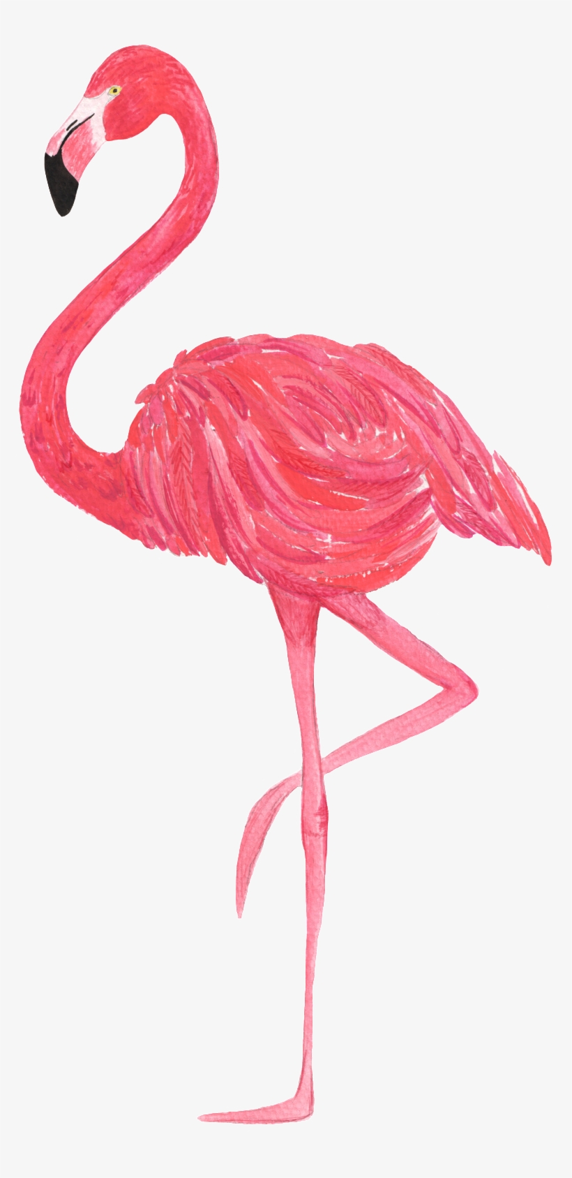 Red Flamingo Watercolor Transparent And Exempted - Topo De Bolo Flamingo, transparent png #149300