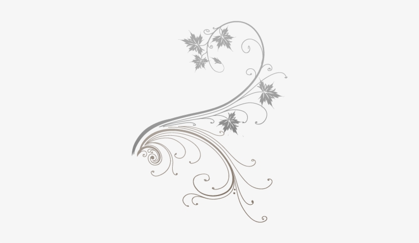 Vine - White Flower Vine Png, transparent png #149918