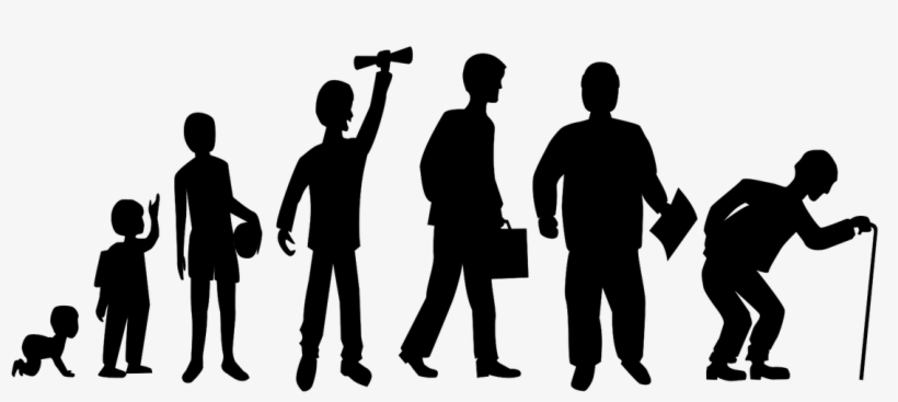 Life Stages - Stages Of Life Silhouette, transparent png #149989
