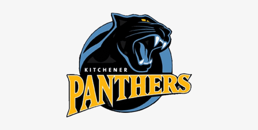 Sport Logos With Animal Images - Kitchener Panthers Logo, transparent png #1401619
