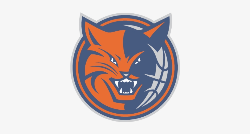 07-08 New Logos - Charlotte Bobcats Logo Png, transparent png #1403302