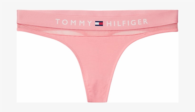 Tommy Hilfiger Thong Logo Mesh, Flamingo Pink - Thong, transparent png #1405275