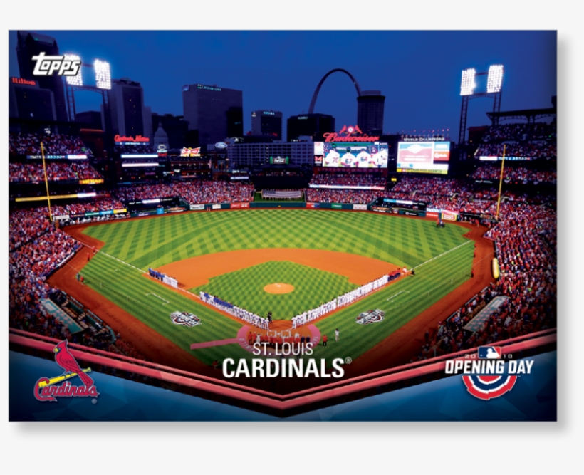 Louis Cardinals - St. Louis Cardinals Photo Mint Coin-bronze, transparent png #1405294