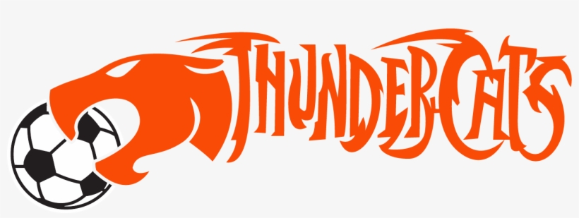 Thundercats-sc - Astra 1640040035 - Door Mat - Door Mat With Football, transparent png #1406140