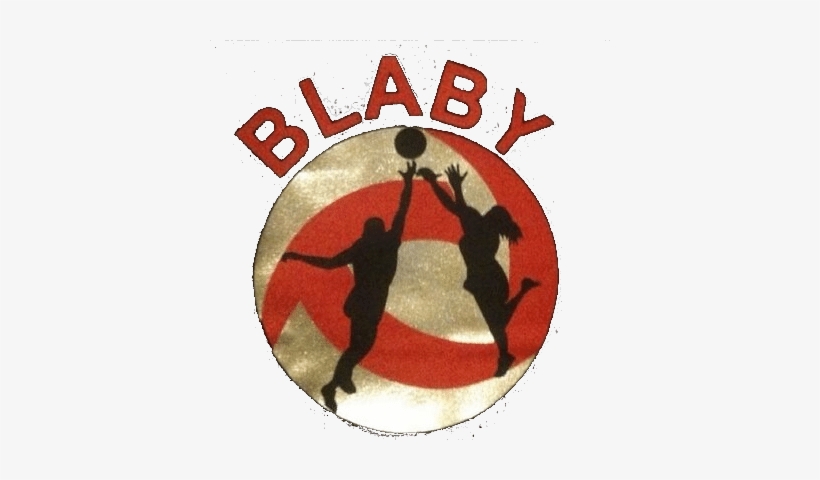 Blaby Netball Club Was Established In 2012 As A Back - North West Leicestershire, transparent png #1406468