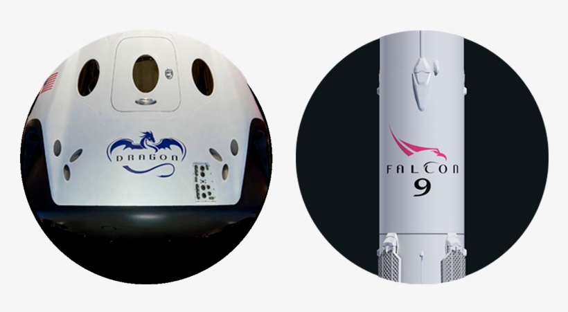 Spacex Dragon And Falcon Logos - Spacex, transparent png #1407560