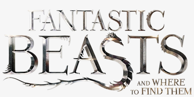 Hogwarts Library - Fantastic Beasts And Where To Find Them - Newt Scamander, transparent png #1407586