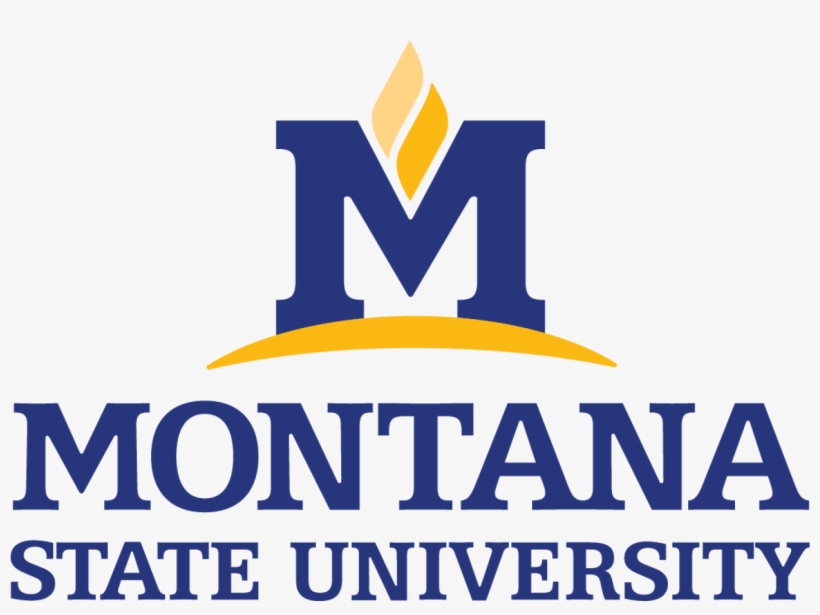 Msu Primary Vertical Logo - Montana State University Logo, transparent png #1408609