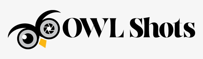 Home - Owl, transparent png #1408973