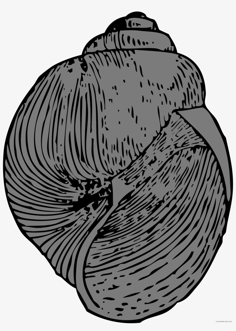 Snail Clipartblack Com Animal Free Black White - Keong Vektor, transparent png #1410267