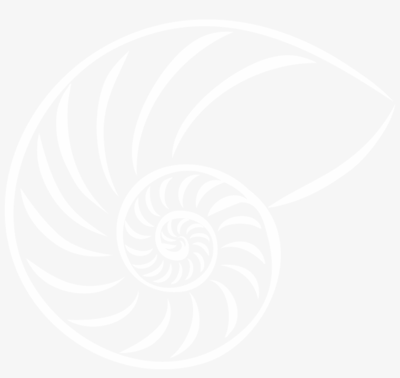Drawing Shell Logo - Euro Petroleum Consultants Ltd., transparent png #1410574