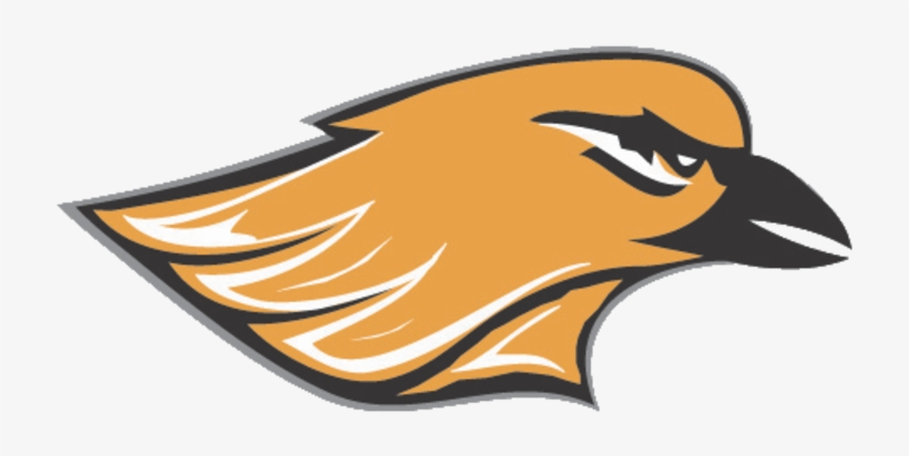 Hartford Union High School Oriole, transparent png #1410697